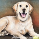 20cm metal vintage style Yellow Labrador lover breed character hang sign plaque