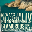 20cm metal Yorkshire Terrier Yorkie lover breed character hanging sign plaque