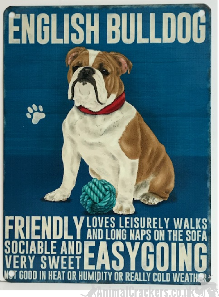 20cm metal vintage style English Bulldog lover breed character hang sign plaque