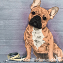 20cm metal vintage style French Bulldog Frenchie breed character hanging sign