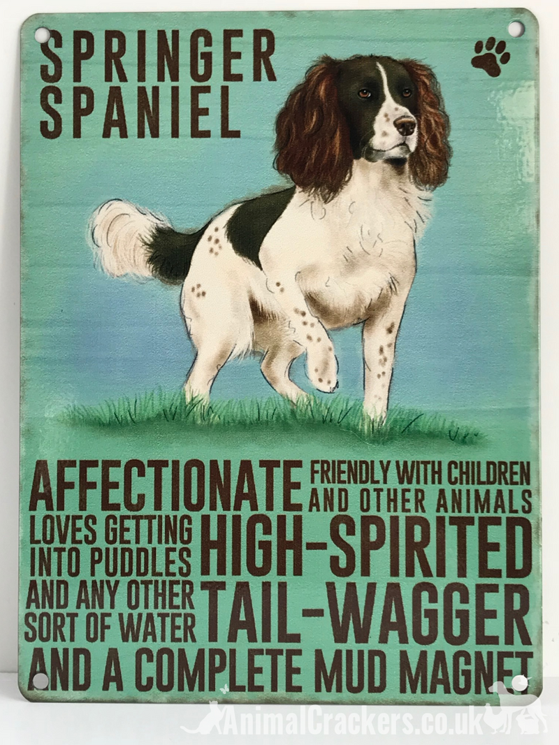 20cm metal vintage style Springer Spaniel breed character hanging sign plaque