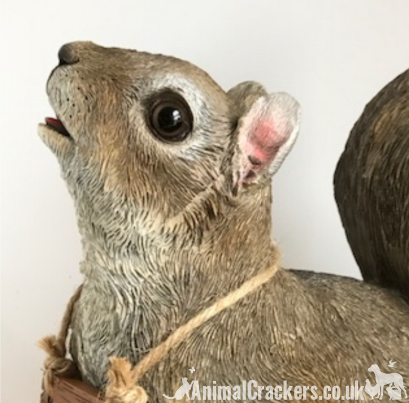 Cheeky Squirrel with removable 'Bird Feeder's Empty' sign garden ornament