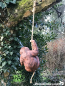 Jo the Sloth large swinging sloth on rope tree garden decoration