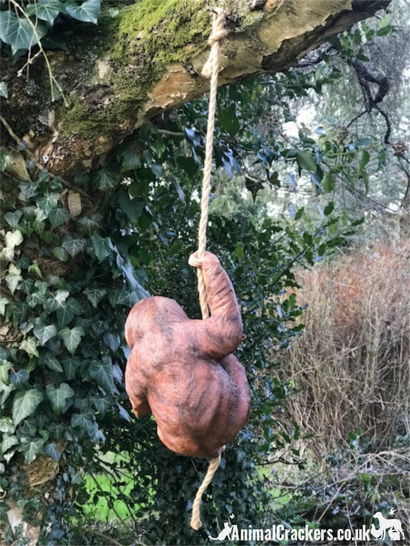 FACTORY SECONDS - Large 34cm Climbing Sloth swinging on rope tree garden decoration