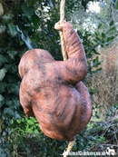 Jo the Sloth large swinging sloth on rope tree garden decoration