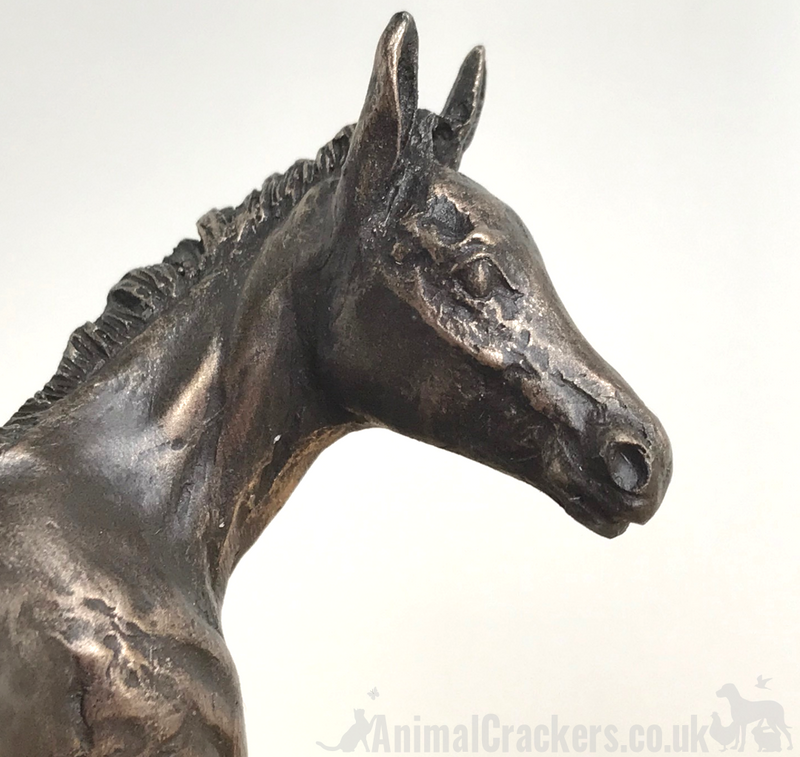 Adorable Foal ornament in Cold cast Bronze by David Geenty, quality horse lover gift