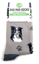 Ladies Border Collie socks One Size quality cotton mix Sheep Dog lover gift