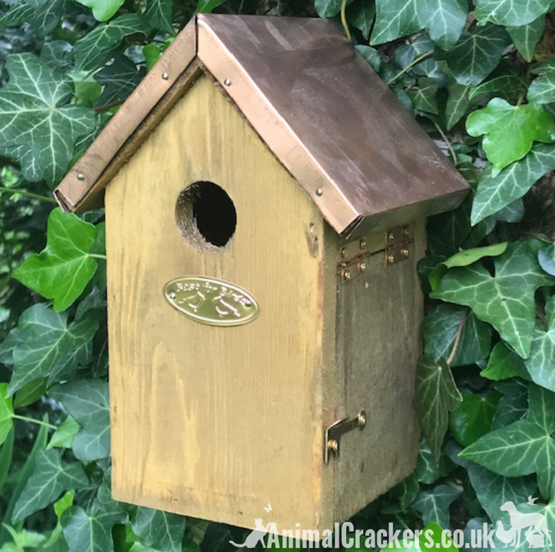 Copper Roof Bird house nest box for WREN & other small garden birds chunky wood