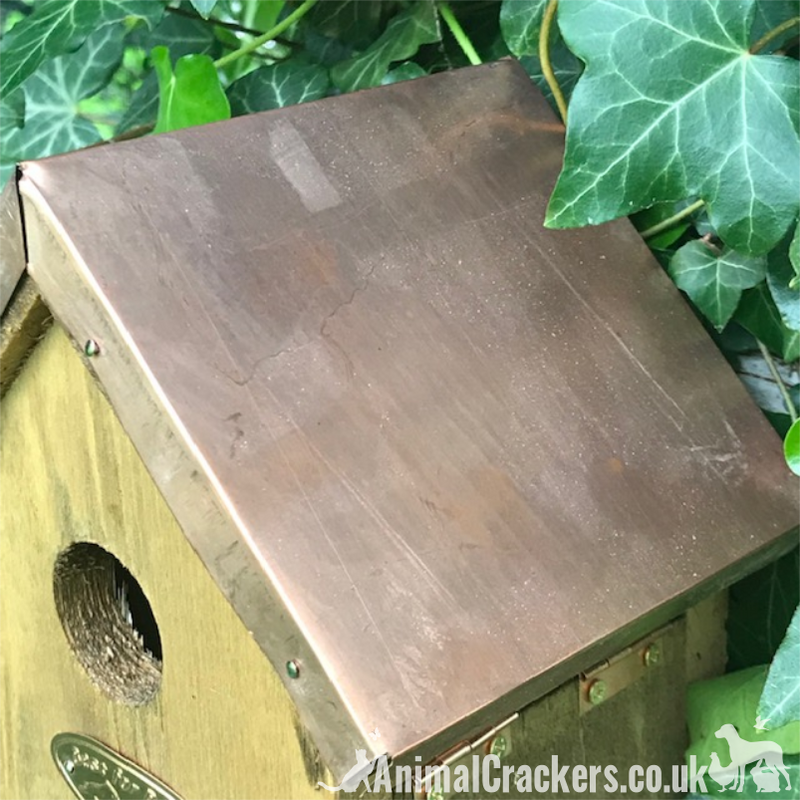 Copper Roof Bird house nest box for WREN & other small garden birds chunky wood