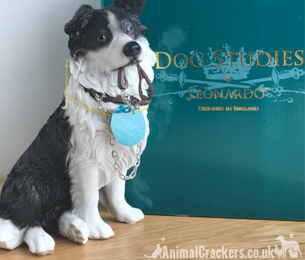 Leonardo Border Collie 'Sheepdog' In Classic Pose Ornament In Quality Gift Box - Foto 7