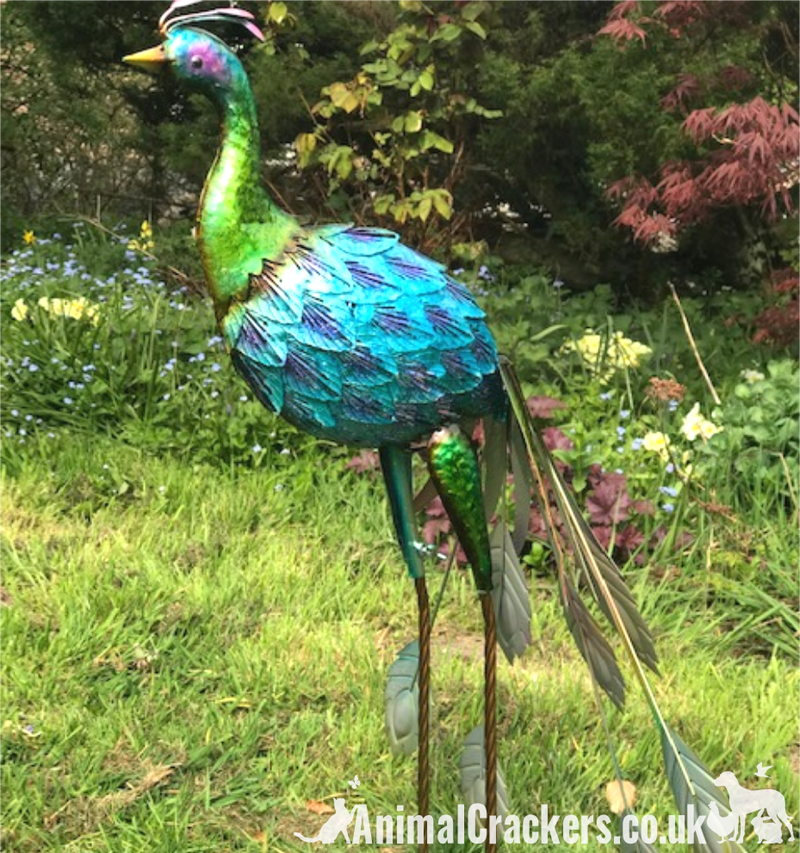 Ashley the Peacock - large (85cm) Peacock bright shiny metal garden ornament decoration