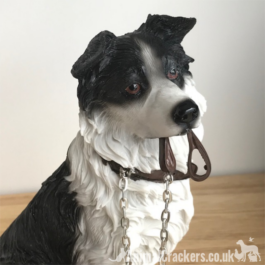 Leonardo Border Collie 'Sheepdog' In Classic Pose Ornament In Quality Gift Box - Foto 2