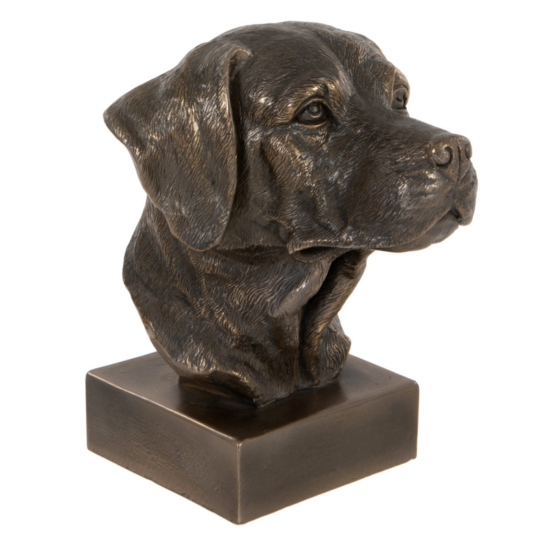 Heavy bronze effect Labrador head bust ornament, Dog lover collectable