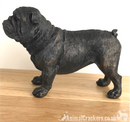 20cm bronze effect English Bulldog ornament figurine Bull Dog lover gift, boxed