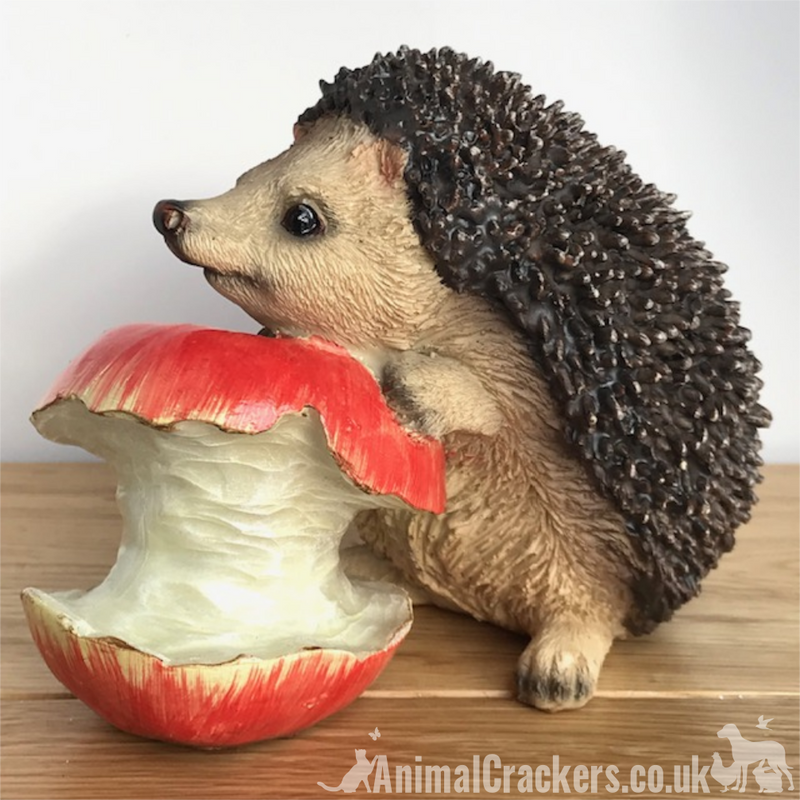 Cute Hedgehog Eating a Red Apple ornament home decoration hedgehog lover gift