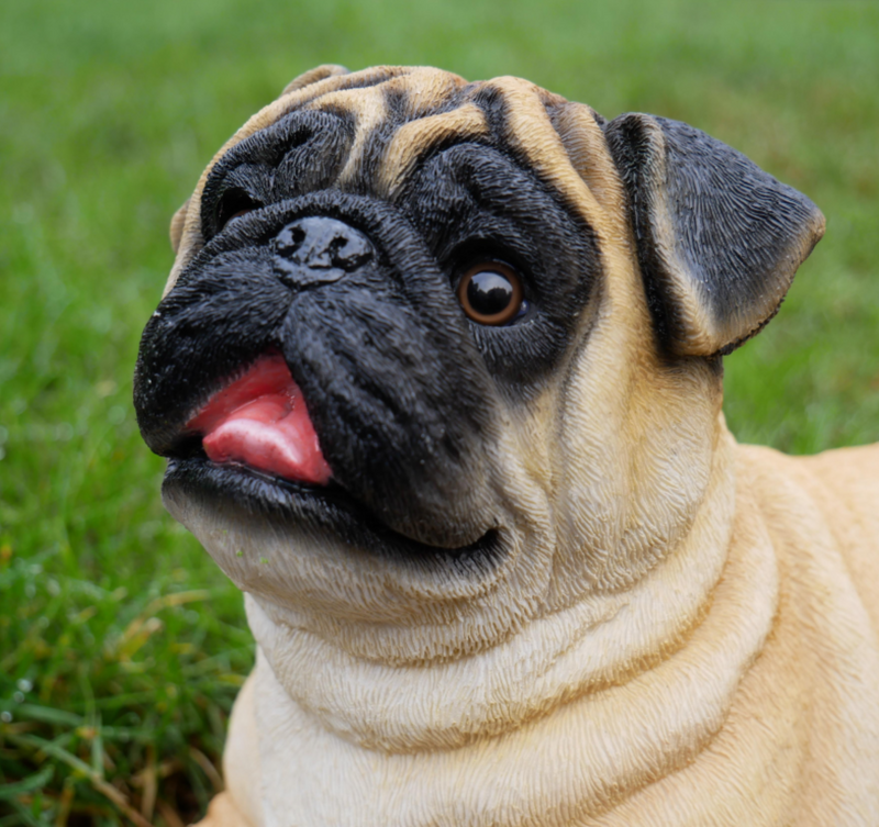 Realistic laying Pug indoor or garden ornament