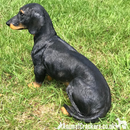 Large sitting Dachshund figurine indoor or garden ornament