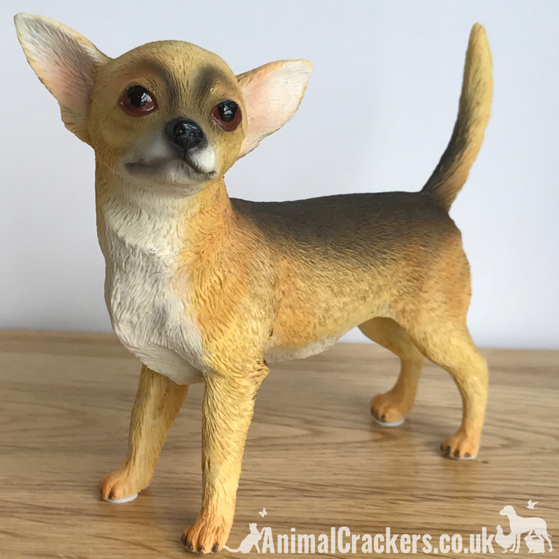 Beige short hair Chihuahua ornament figurine lifelike Leonardo range Gift boxed