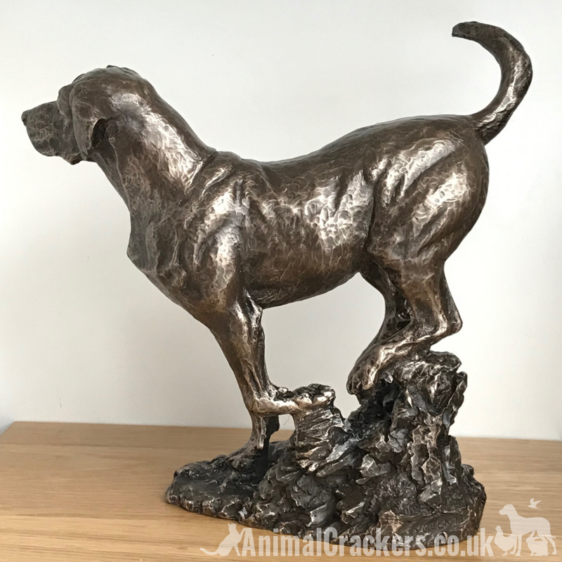 Large heavy weight Bronze Labrador sculpture designed by David Geenty