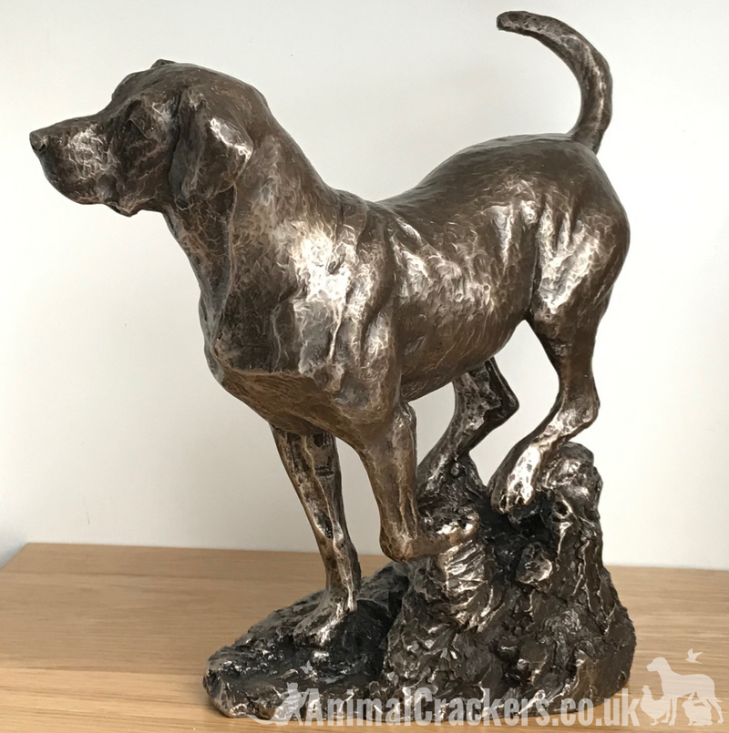 Large heavy weight Bronze Labrador sculpture designed by David Geenty