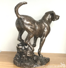 Labrador sculpture designed by David Geenty in heavy weight Cold Cast Bronze