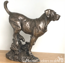 Labrador sculpture designed by David Geenty in heavy weight Cold Cast Bronze