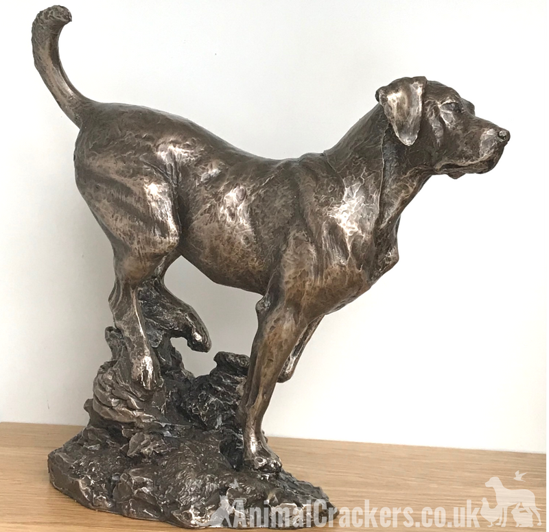 Large heavy weight Bronze Labrador sculpture designed by David Geenty