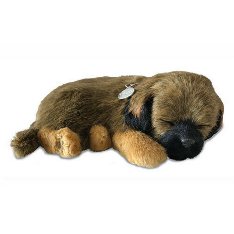 Precious Petzzz 'breathing' Border Terrier soft toy with pet bed novelty Dog lover gift