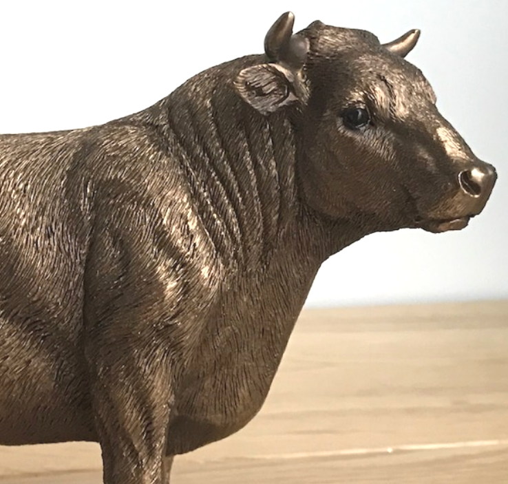 Bull ornament figurine sculpture Leonardo Bronzed range cattle farmer gift boxed