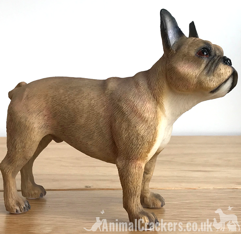 Fawn French Bulldog Frenchie ornament figurine sculpture Leonardo, gift boxed