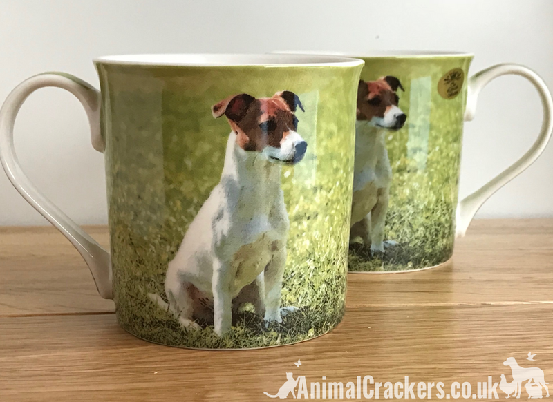 Leonardo quality Jack Russell Terrier fine china mug with all round print, in coloured gift box, great Jack Russell lover gift