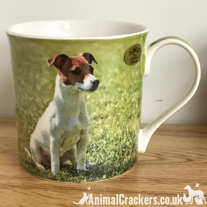 Jack Russell ORNAMENT AND MUG set quality lifelike Leonardo figurine & china mug