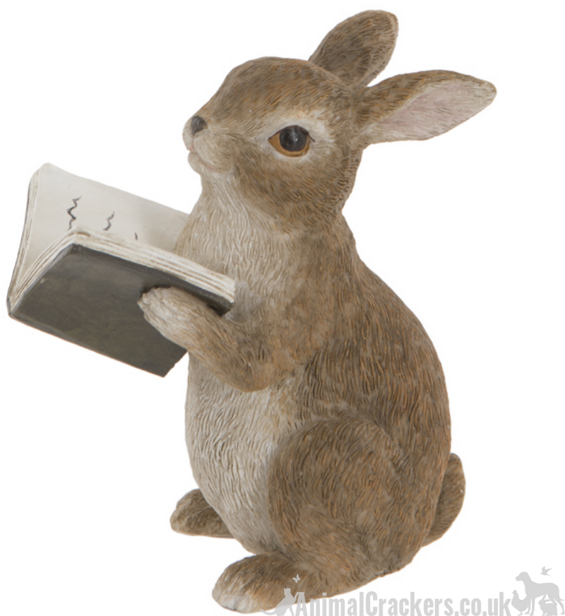Itsy the Rabbit - cute rabbit reading book indoor ornament or fairy garden decoration