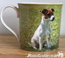 Leonardo quality Jack Russell Terrier fine china mug with all round print, in coloured gift box, great Jack Russell lover gift