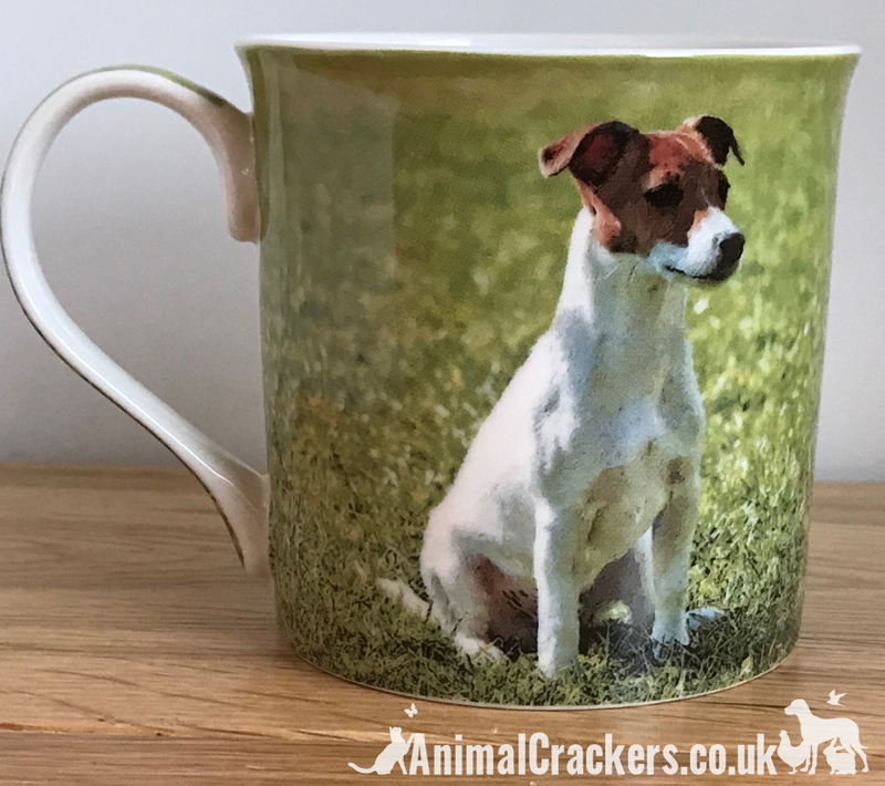 Leonardo quality Jack Russell Terrier fine china mug with all round print, in coloured gift box, great Jack Russell lover gift