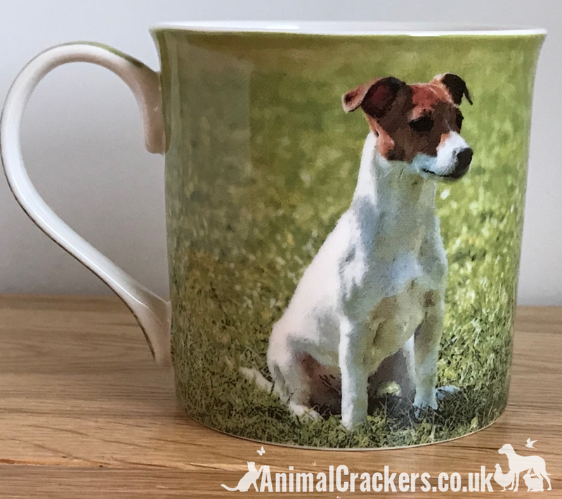 Jack online russell mug
