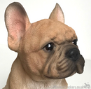 Vivid Arts 'Pet Pals' Golden French Bulldog Puppy ornament, Frenchie lover gift, in presentation gift box