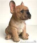 Vivid Arts 'Pet Pals' Golden French Bulldog Puppy ornament, Frenchie lover gift, in presentation gift box