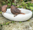 Bird Bath or feeder, aged stone effect bowl with 2 decorative bronze effect wrens. Ideal bird lover gift!