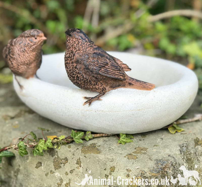 Bird Bath or feeder, aged stone effect bowl with 2 decorative bronze effect wrens. Ideal bird lover gift!