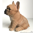 Vivid Arts 'Pet Pals' Golden French Bulldog Puppy ornament, Frenchie lover gift, in presentation gift box