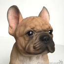 Vivid Arts 'Pet Pals' Golden French Bulldog Puppy ornament, Frenchie lover gift, in presentation gift box