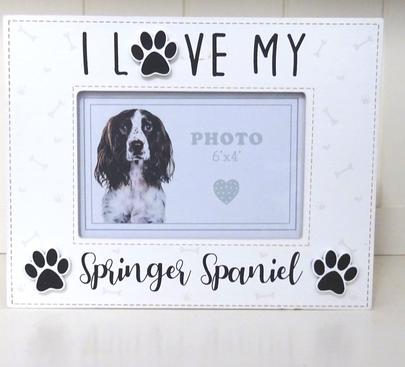 Springer Spaniel photo frame wooden box style picture holder, 6" x 4"