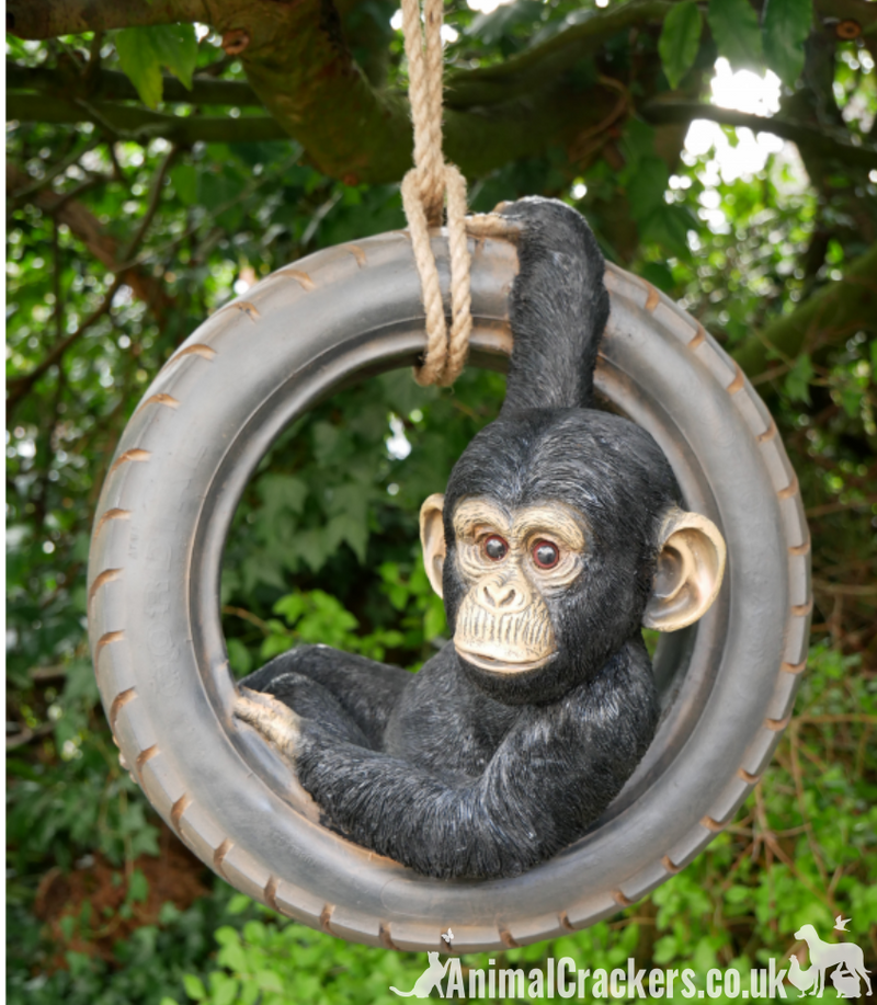 Chimpanzee swinging on old tyre rope swing, novelty tree garden ornament decoration, monkey or ape lover gift