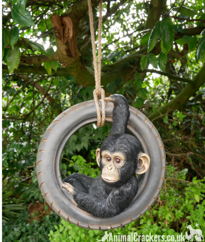Chimpanzee swinging on old tyre rope swing, novelty tree garden ornament decoration, monkey or ape lover gift