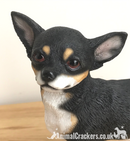 Chihuahua Black and Tan ornament figurine quality lifelike Leonardo. Gift boxed.