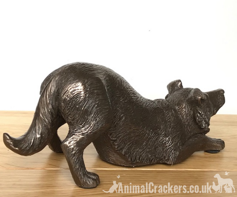 Border Collie figurine in heavy weight cold cast bronze, length 22cm