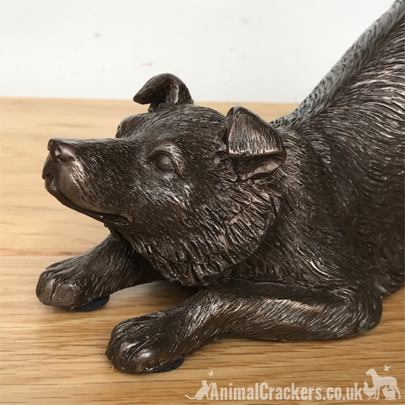 Border Collie figurine in heavy weight cold cast bronze, length 22cm