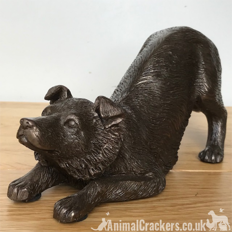 22cm heavy bronze Border Collie sculpture ornament, great Sheep Dog lover gift