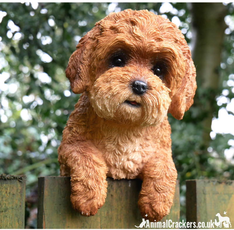 Fence Hanging Labradoodle type dog ornament figurine, novelty garden decoration